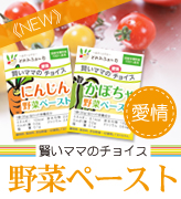 野菜ペースト